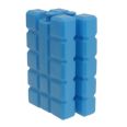 Jgo. 2 acumuladores. Ice pack 2x400.